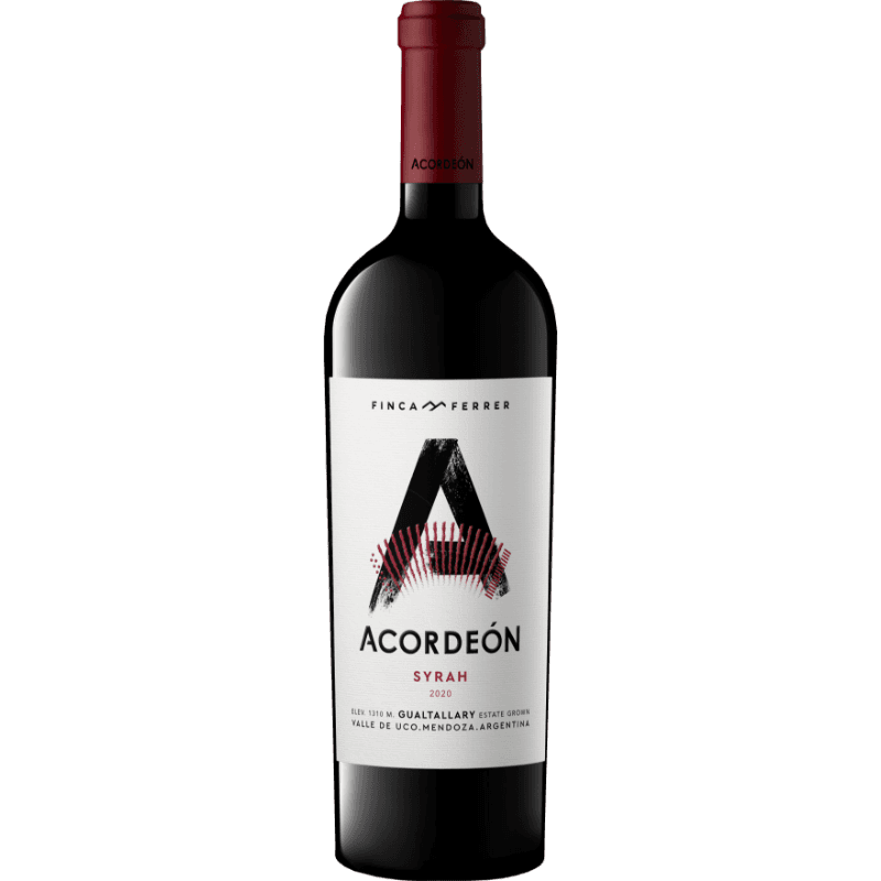 Acordeón Syrah 2020